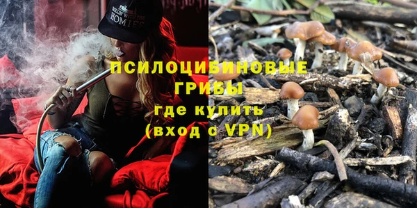 спиды Волоколамск