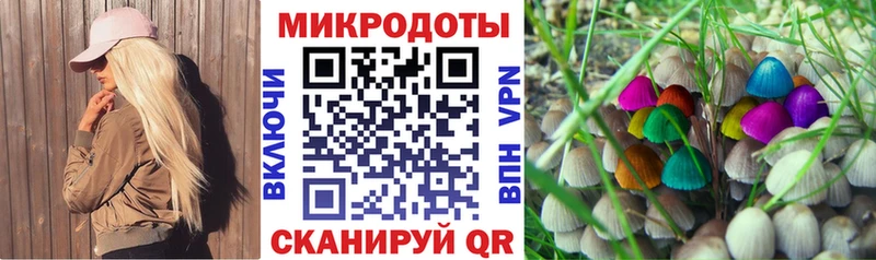 это формула  где купить наркоту  Екатеринбург  Галлюциногенные грибы Psilocybe 